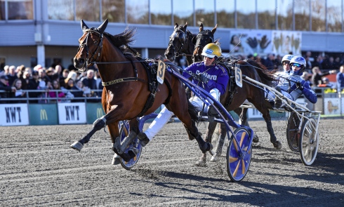 Foto av Malin Albinsson TR Bild
